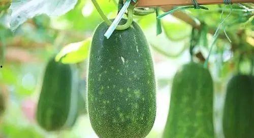 小眼睛吃瓜,揭秘娱乐圈那些不为人知的幕后故事