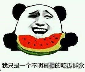 吃瓜韩语,吃瓜群众视角下的韩流风云