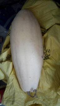 吃瓜大白男版,揭秘网络热议现象背后的真相