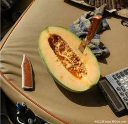 来点瓜吃,来点瓜吃，尽享夏日清凉时光