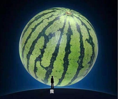 吃大瓜音乐,探寻音乐与生活的完美融合