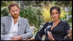 吃瓜的旺达,揭秘娱乐圈幕后风云