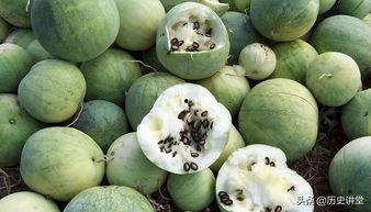 嗑瓜子吃瓜卡通,跟随卡通角色一起吃瓜畅谈